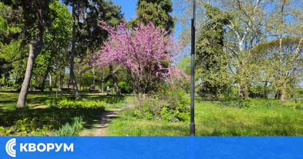 По-хладно време в понеделник в Силистра