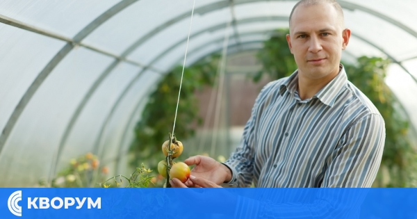 Нови хибридни обучения със свободен достъп