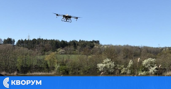 Община Силистра започва обработки срещу комари в края на април и началото на май