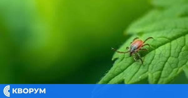 Община Тутракан ще извърши обработка срещу кърлежи на 14 май