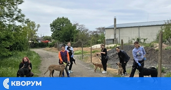 Всички кучета в приюта в Калипетрово бяха разходени на последната акция