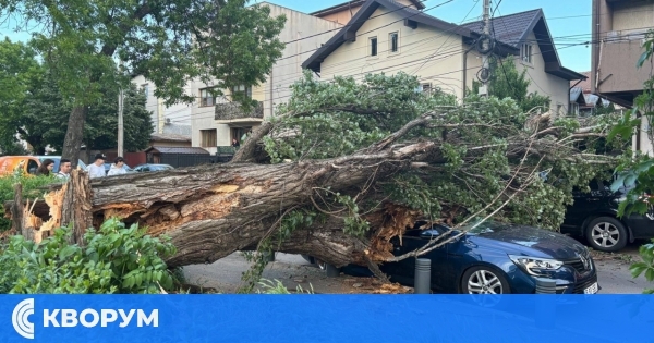 Силен вятър събори дърво върху автомобили в Букурещ