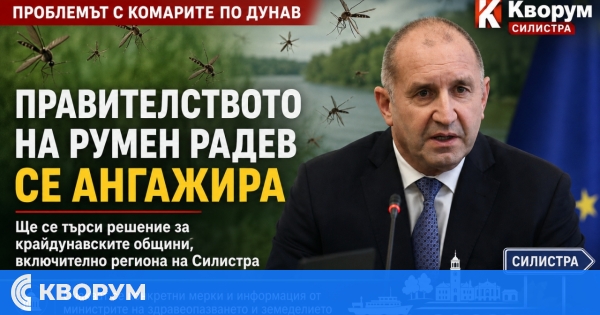 Правителството на Румен Радев се ангажира с проблема с комарите по Дунав