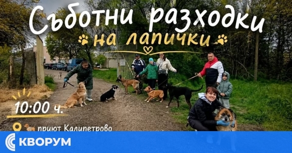 Доброволци ще разхождат кучета от приюта и тази събота