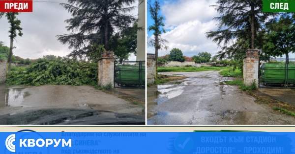 Бърза реакция: Падналото дърво на входа на стадион "Доростол" вече е отстранено