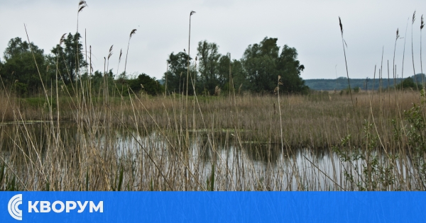 Специализирано звено в РИОСВ – Русе ще изготвя планове за управление на защитените зони от Натура 2000 в Силистренско