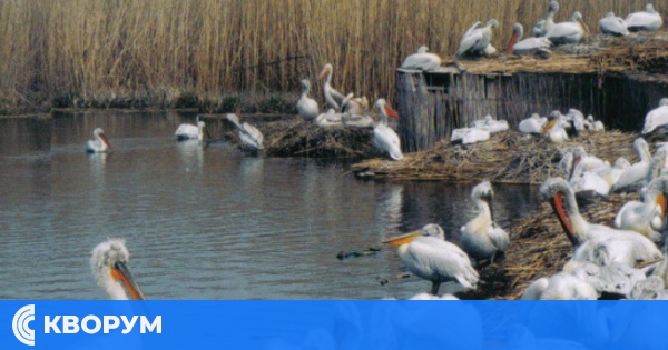 Природното богатство на Силистренско остава важна част от европейската екологична мрежа