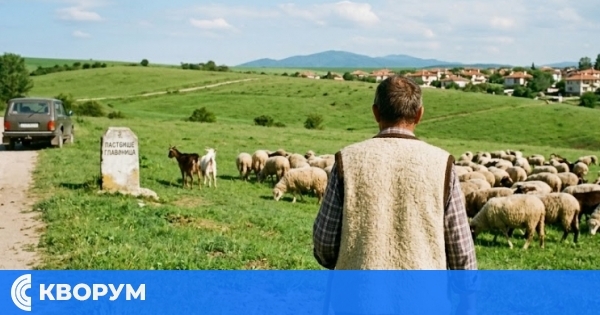 Земеделец осъди Областна дирекция Земеделие Силистра заради мери и ливади