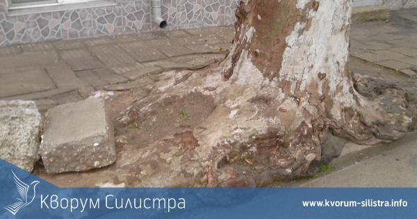 Какво е състоянието на тротоарите в Силистра?