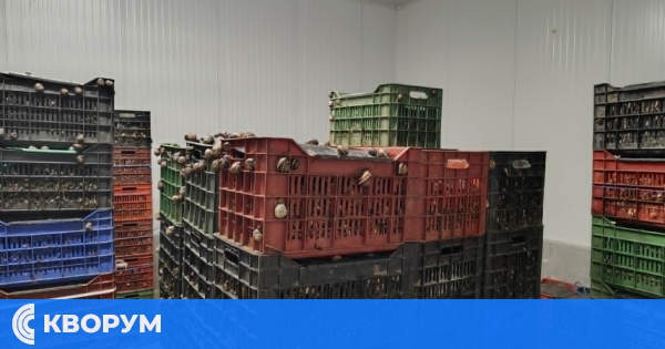 Само един пункт за охлюви е регистриран на територията на област Силистра