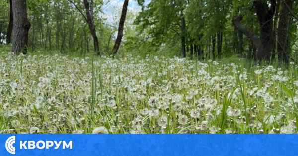 Община Силистра започва обработки срещу кърлежи на 28 май