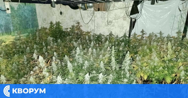ГДБОП разкри наркоферма в мандра в съседна на Силистра област