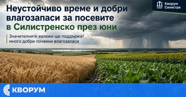Неустойчиво време и добри влагозапаси за посевите в Силистренско през юни