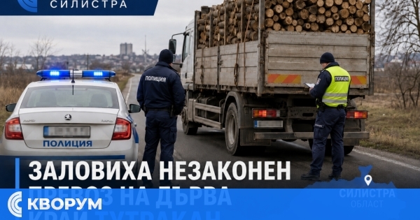 50-годишен е установен да превозва незаконни дърва в района на Тутракан