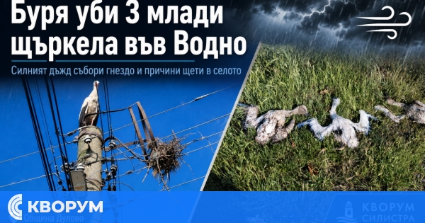 Силна буря нанесе щети във Водно, загинали са три млади щъркела