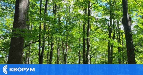 Над 1000 проверки в горите на Северна Централна България през май