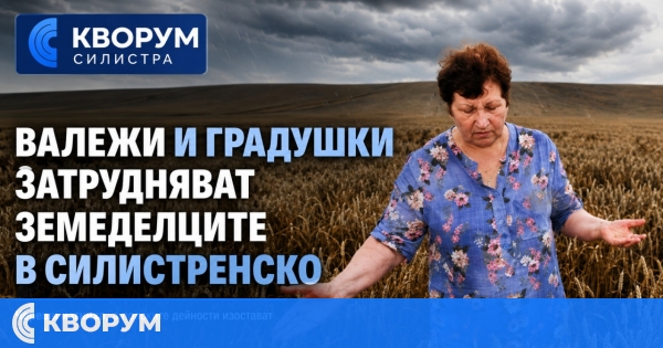 Велика Славова: Честите дъждове пречат на земеделската работа в Силистренско