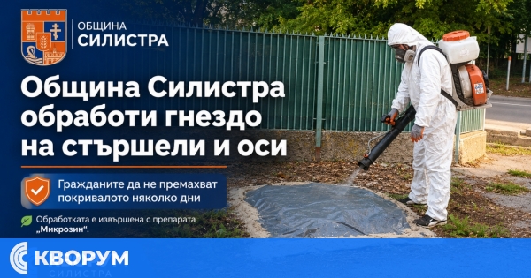 Община Силистра обработи гнездо със стършели и оси в централната част на града