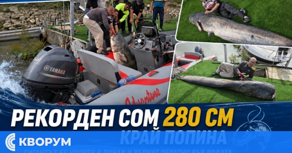 Чудовищен сом от 280 сантиметра бе уловен край Попина
