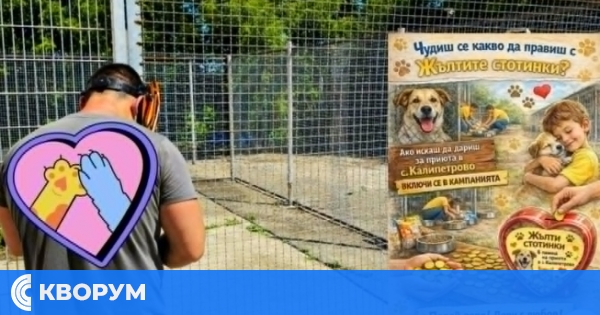 Кампанията "Жълти стотинки – щастливи лапички" помогна за нови огради в приюта в Калипетрово