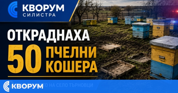 50 пчелни кошера са откраднати от землището на село Търновци