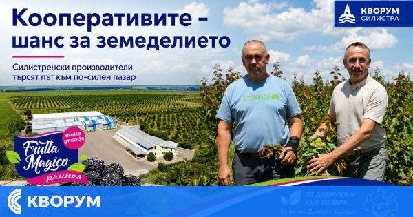 Силистренски производител: Сдружаването е единственият път за оцеляване на плодовете и зеленчуците