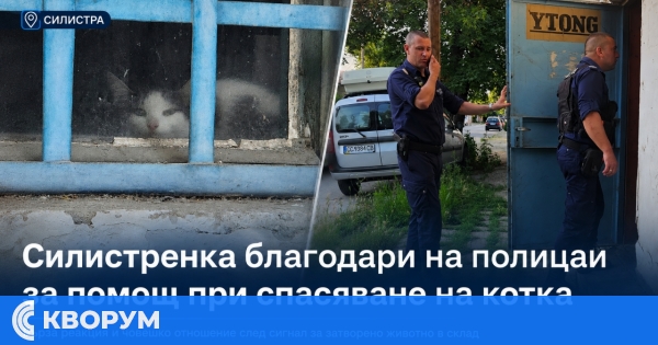 Силистренка благодари на полицаи за съдействие при спасяването на котка