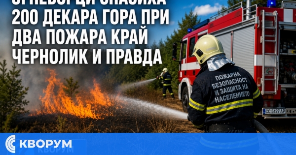 Огнеборци спасиха 200 декара гора при два пожара край Чернолик и Правда
