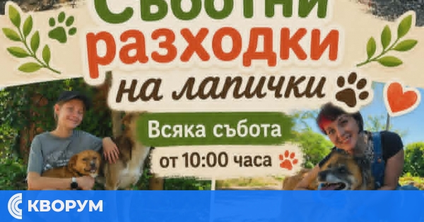 Съботни разходки за кучетата от приюта: Доброволци са поканени от 10:00 часа