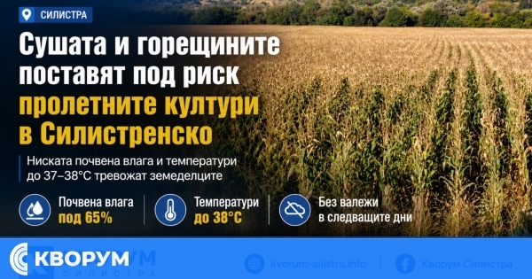 Сушата и горещините поставят под риск пролетните култури в Силистренско