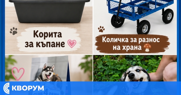 Приютът в Калипетрово търси корита, храна за кученца и помощ за количка