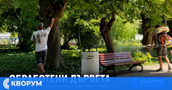 Обработиха дървета в Дунавския парк след сигнал за гнезда на стършели и оси