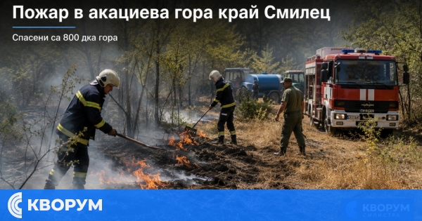 Пожар унищожи 90 дка сухи треви и храсти в акациева гора край Смилец
