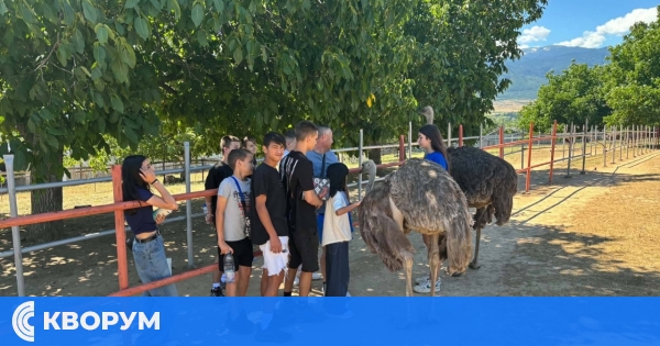 Деца от ЦНСТ – Силистра посетиха ферма за щрауси край Долна баня