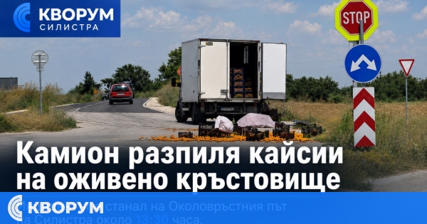 Камион разпиля касетки с кайсии на оживено кръстовище край Силистра