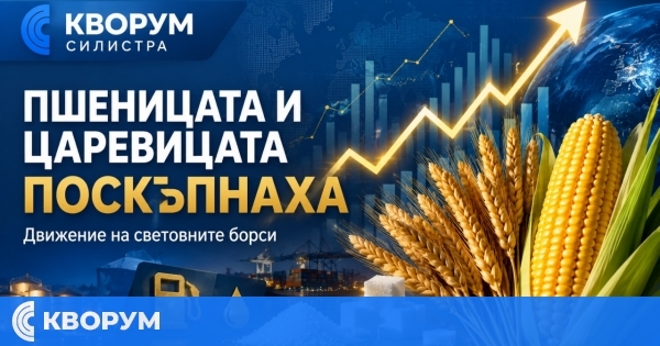 Пшеницата и царевицата поскъпнаха