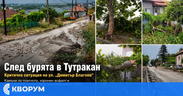 След бурята в Тутракан: камъни, паднали клони и разрушен асфалт