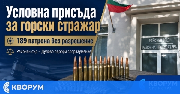 Горски стражар получи условна присъда за незаконно държане на близо 190 боеприпаса