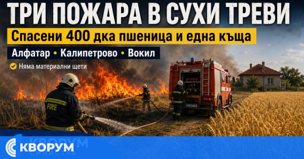 Три пожара в сухи треви в Силистренско – спасени са 400 декара пшеница и къща