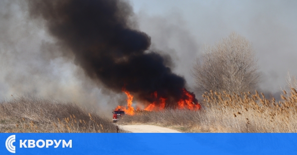 РИОСВ – Русе: В Тутракан през годините се повтарят пожари в защитени територии