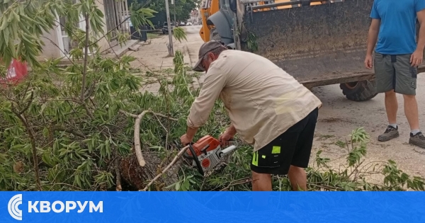 Над 30 обекта са отводнени след бурята в Тутракан, премахнати са множество паднали дървета
