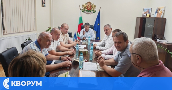 Над 6000 опасни дървета край електропроводи са маркирани в област Силистра