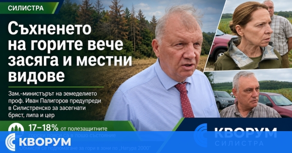 Съхненето на горите в Североизточна България вече засяга бряст, липа и цер