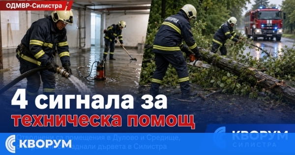 Огнеборци отводниха помещения и отстраниха паднали дървета в Силистренско