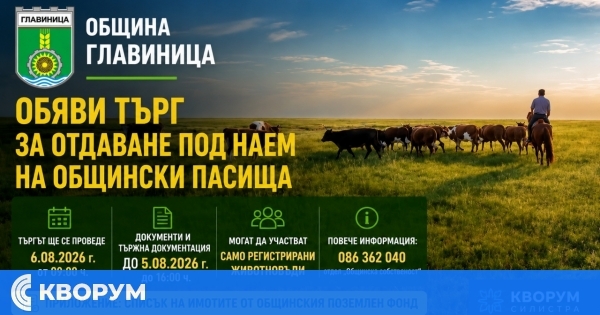 Община Главиница отдава под наем общински пасища