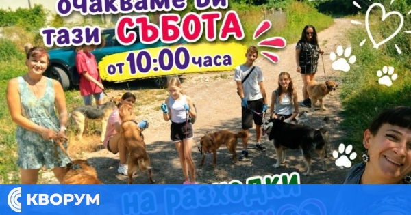 Доброволци ще разхождат кучета от приюта в Калипетрово