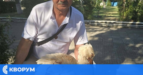 Жители на село Водно спасиха ранен щъркел и го предадоха на експерти