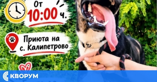 "Съботни разходки на лапички" събират доброволци в приюта за кучета в Калипетрово