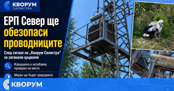 ЕРП Север ще обезопаси трафопост след загинали щъркели в Полковник Ламбриново
