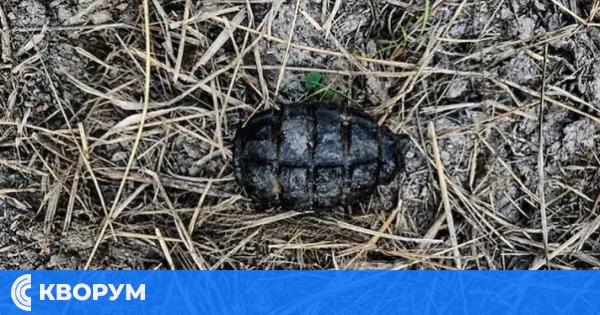 Военни обезвредиха ръчна граната, открита край Дунав в Силистра